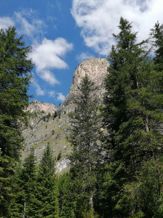 Hotel Alaska Selva di Val Gardena Kültér fotó